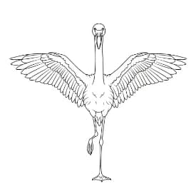 Flamingo Een mooie zwart-wit kleurplaat van een flamingo.