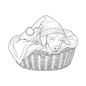 Hond Een vrolijke hond op een kleurplaat, klaar om ingekleurd te worden.