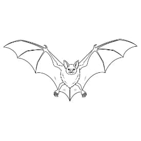 Knuppel Een leuke en creatieve kleurplaat van Knuppel geschikt voor alle leeftijden.