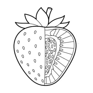 Aardbei Aardbei kleurplaten