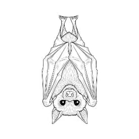 Knuppel Knuppel kleurplaten — Alle Categorieën