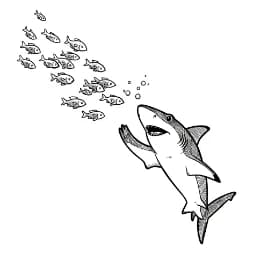 Haai Kleurplaat van een zwemmende Haai in zwart-wit, klaar om in te kleuren.