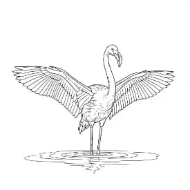 Flamingo Een mooie zwart-wit kleurplaat van een flamingo.