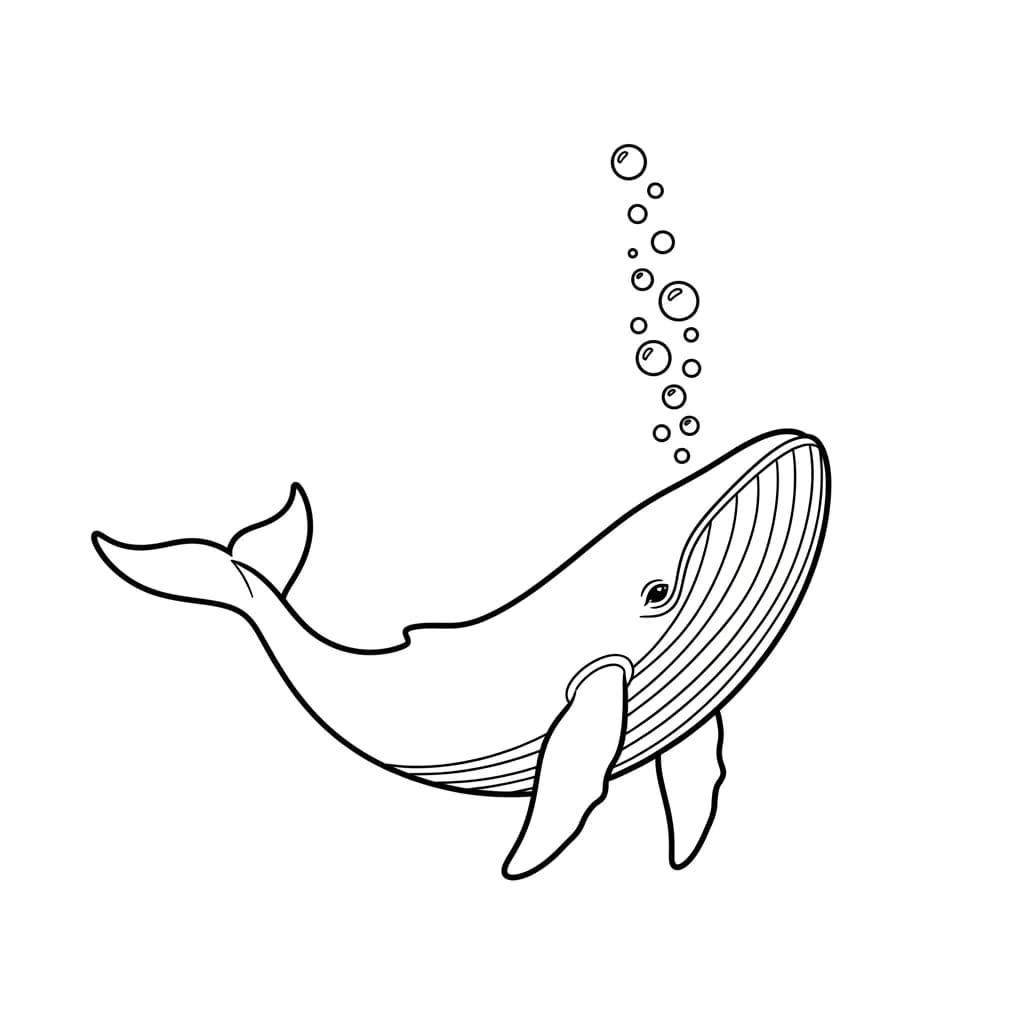 Walvis Kleurplaat van een Walvis die kinderen en volwassenen creatief kunnen inkleuren.