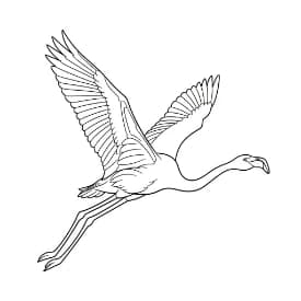 Flamingo Een creatieve kleurplaat van een flamingo in zwart-wit.