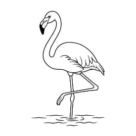 Flamingo Een leuke zwart-wit kleurplaat van een flamingo.