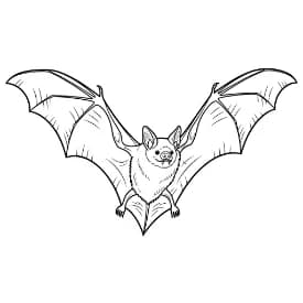 Knuppel Een leuke en creatieve kleurplaat van Knuppel geschikt voor alle leeftijden.