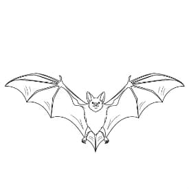 Knuppel Een leuke en creatieve kleurplaat van Knuppel geschikt voor alle leeftijden.