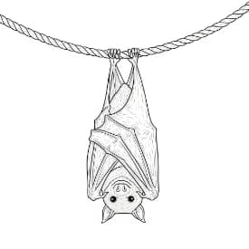 Knuppel Een leuke en creatieve kleurplaat van Knuppel geschikt voor alle leeftijden.