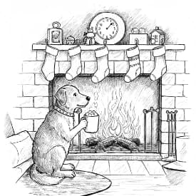 Comfortabele dagen Comfortabele dagen