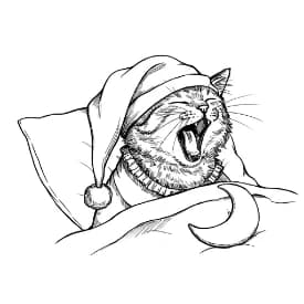 Comfortabele dagen Comfortabele dagen