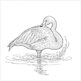Flamingo kleurplaat Flamingo