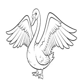 Dieren Eenvoudige zwart-wit kleurplaat van Dieren uit de categorie Dieren.