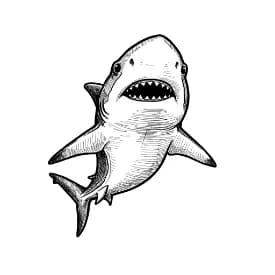 Haai Kleurplaat Leuke kleurplaat van een Haai om thuis te printen en in te kleuren.