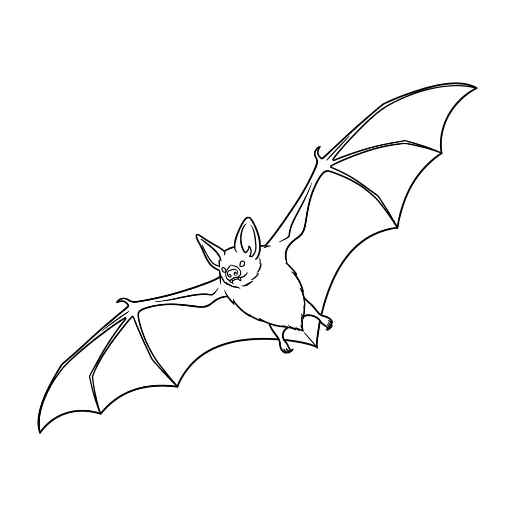 Knuppel Een overzichtelijke en creatieve kleurplaat van Knuppel voor kinderen en volwassenen.