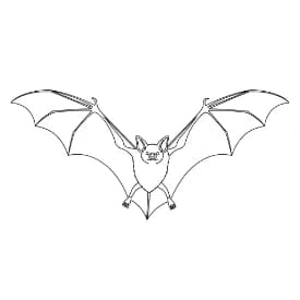 Knuppel Een leuke en creatieve kleurplaat van Knuppel geschikt voor alle leeftijden.