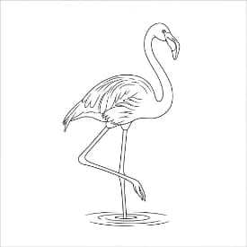 Flamingo Een leuke zwart-wit kleurplaat van een flamingo.