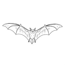 Knuppel Een leuke en creatieve kleurplaat van Knuppel geschikt voor alle leeftijden.