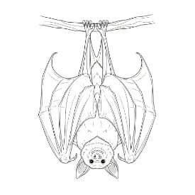 Knuppel Een leuke en creatieve kleurplaat van Knuppel geschikt voor alle leeftijden.