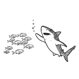 Haai Kleurplaat Kleurplaat van een zwemmende Haai in zwart-wit, klaar om in te kleuren.