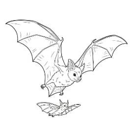 Knuppel Een leuke en creatieve kleurplaat van Knuppel geschikt voor alle leeftijden.