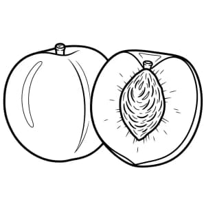 Fruitkleurplaat schets kleurplaat van een grote appel en sinaasappel met duidelijke contouren om in te kleuren