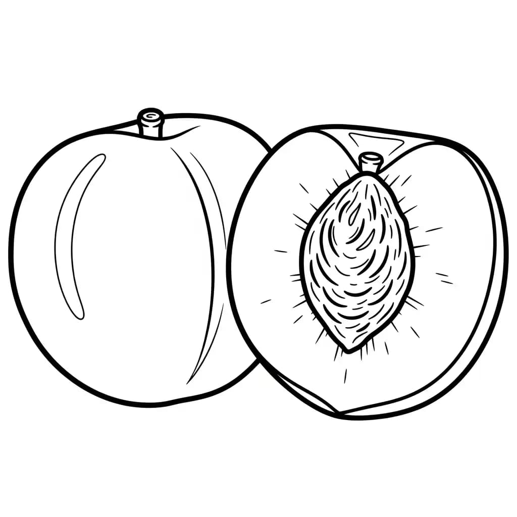 Fruitkleurplaat schets kleurplaat van een grote appel en sinaasappel met duidelijke contouren om in te kleuren