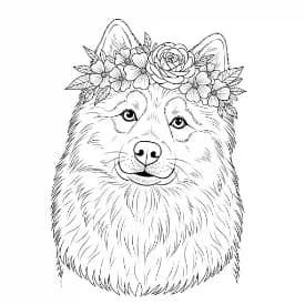 Hond Een vrolijke hond op een kleurplaat, klaar om ingekleurd te worden.