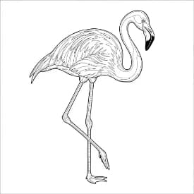 Flamingo Een creatieve kleurplaat van een flamingo in zwart-wit.