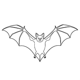 Knuppel Een leuke en creatieve kleurplaat van Knuppel geschikt voor alle leeftijden.