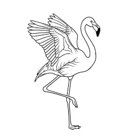 Flamingo kleurplaat Flamingo kleurplaat kleurplaten