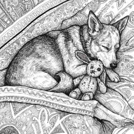 Comfortabele dagen Een ontspannende en creatieve kleurplaat van Comfortabele dagen voor jong en oud.