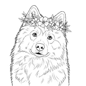 Hond Een vrolijke hond op een kleurplaat, klaar om ingekleurd te worden.